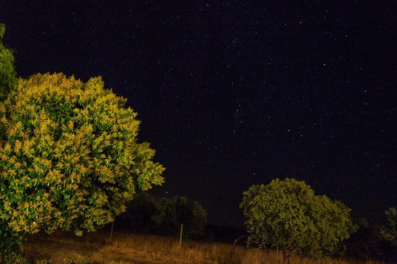 Monte Do Colmeal - Country House & Wine Guest House Mourao Bagian luar foto