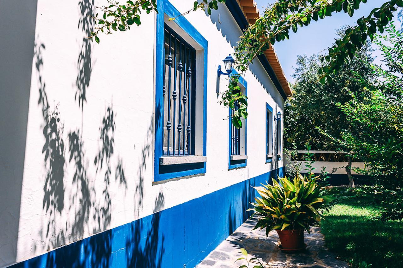 Monte Do Colmeal - Country House & Wine Guest House Mourao Bagian luar foto